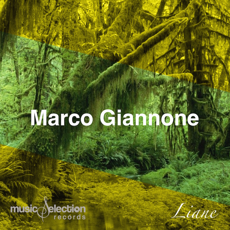 Music Selection Records: Marco Giannone - Liane Importanti Support 