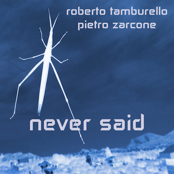 Roberto Tamburello & Pietro Zarcone - Never Said
