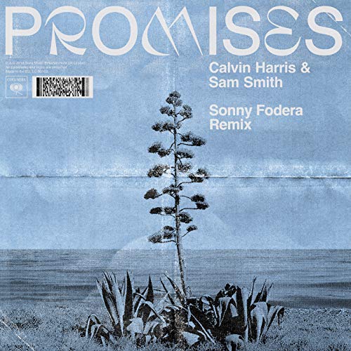 Calvin Harris & Sam Smith - Promises (Sonny Fodera Remix)